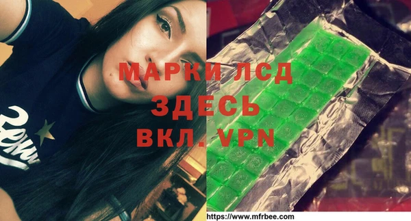стафф Аркадак