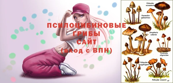 бутират Балахна