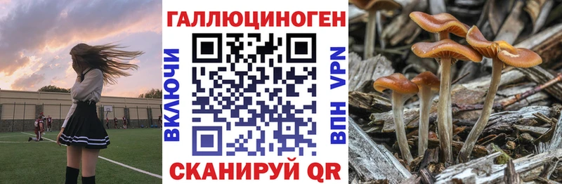 Псилоцибиновые грибы Psilocybine cubensis  цены наркотик  Можга 