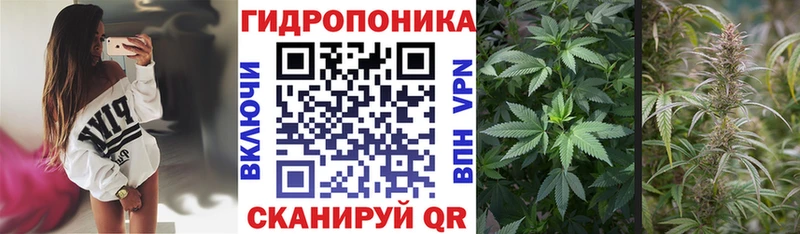 Каннабис White Widow  Можга 